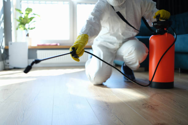 Professional Pest Control in Balcones Heights, TX